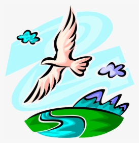Vector Illustration Of Seagull Bird Flies In Healthy - Bird Flying Over The River, HD Png Download, Transparent PNG