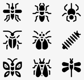 Insects - Insect, HD Png Download, Transparent PNG