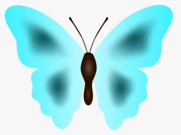 Butterfly,symmetry,moth - Lycaenid, HD Png Download, Transparent PNG