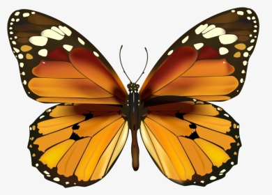 Happy New Year Butterfly, HD Png Download, Transparent PNG