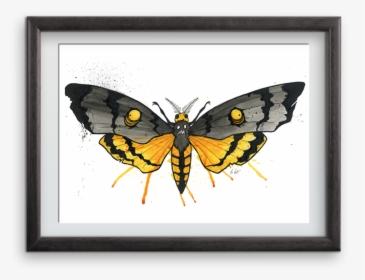 Goth Moth Art Print - Picture Frame, HD Png Download, Transparent PNG