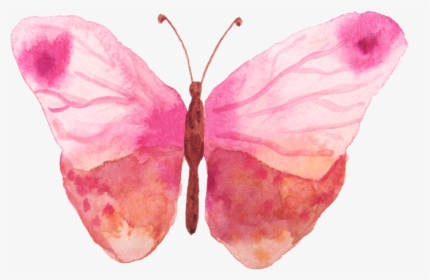 Water Color Butterfly Png, Transparent Png, Transparent PNG