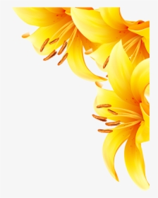 Common Sunflower Yellow - Sunflower, HD Png Download, Transparent PNG
