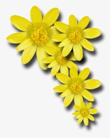 Yellow Flowers, Png V - Yellow Spring Flower Png, Transparent Png, Transparent PNG