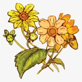 Transparent Wildflowers Png - Yellow Flower Drawing Png, Png Download, Transparent PNG
