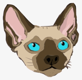 Sphynx Cat, HD Png Download, Transparent PNG