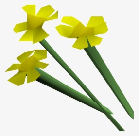 Osrs Flowers, HD Png Download, Transparent PNG