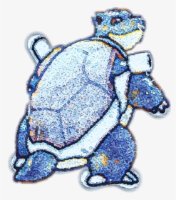 #blastoise - Illustration, HD Png Download, Transparent PNG