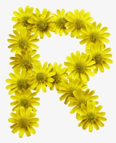 Yellow Flowers Font - Letter I Flower Transparent, HD Png Download, Transparent PNG