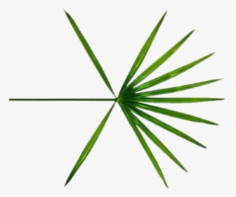 Exo Logo Png - Exo Koko Bop Logo, Transparent Png, Transparent PNG