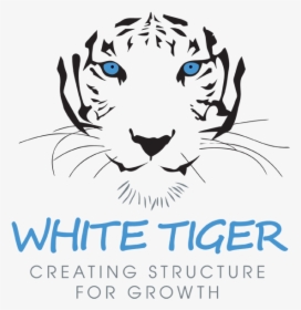 White Tiger - Christmas White Tiger, HD Png Download, Transparent PNG