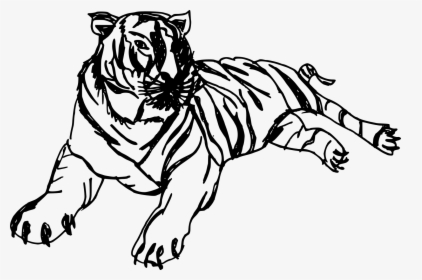 Tigers Drawing Hand Drawn - Tiger Drawing Cartoon Black And White, HD Png Download, Transparent PNG