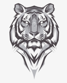 Transparent White Tiger Png - Bengal Tiger Head Drawing, Png Download, Transparent PNG