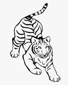 Tiger Line Art By Naobim Clip Arts - Tiger Line Art Png, Transparent Png, Transparent PNG