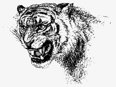 Search: shivsena tiger cdr clipart Logo PNG Vectors Free Download - Page 4