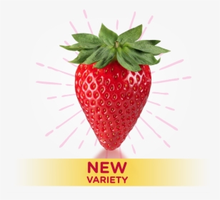 Transparent Fresas Png - Strawberry, Png Download, Transparent PNG