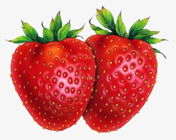 Strawberry Shortcake Drawing Fruit - Strawberries Drawings, HD Png Download, Transparent PNG