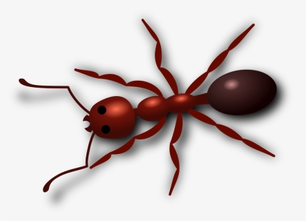 Ant Png Hd - Free Ant Clip Art, Transparent Png, Transparent PNG