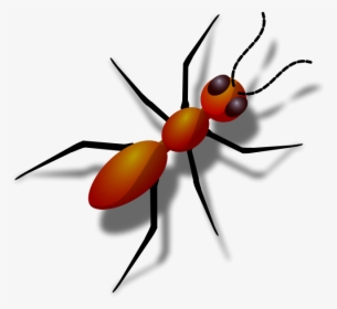 Ant Png Clip Arts - Transparent Background Ant Clipart, Png Download, Transparent PNG