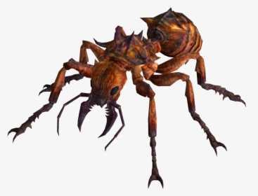 Fire Ant - Fallout Fire Ant, HD Png Download, Transparent PNG