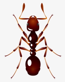 Ant U6606u866b U8682u8681 Insect - Ant, HD Png Download, Transparent PNG