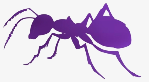 Sugar Ants Png Transparent Images - Ant Silhouette Clip Art, Png Download, Transparent PNG