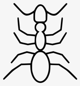 Ant - Orb-weaver Spider, HD Png Download, Transparent PNG