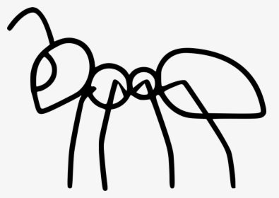 Ant Ii - Line Drawing Of A Ant, HD Png Download, Transparent PNG