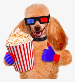 Cinema Photography Pug Dog Popcorn Film Stock Clipart - Eten Van Een Hond, HD Png Download, Transparent PNG