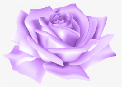 Purple Rose Png - Transparent Background Blue Rose Png, Png Download, Transparent PNG