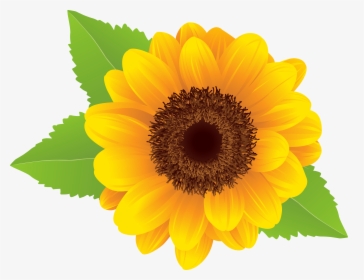 Sunflower Png Clip Art Image, Transparent Png, Transparent PNG