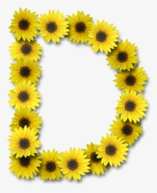 Letter D With Sunflowers, HD Png Download, Transparent PNG