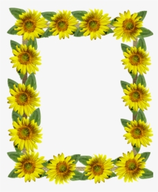 Frame, Border, Sunflowers - Aesthetic Sunflower, HD Png Download, Transparent PNG