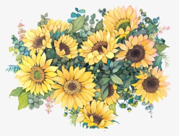 Sunflower Illustration Watercolor Common Flowers Painting - Blank Sunflower Invitation Template, HD Png Download, Transparent PNG