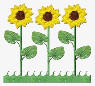 Flowers Row Of Sunflowers - Sun Flower Tree Clipart, HD Png Download, Transparent PNG