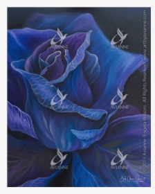 Blue Rose, HD Png Download, Transparent PNG