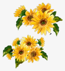 Transparent Rustic Flowers Clipart - Watercolor Sunflower Border Png, Png Download, Transparent PNG