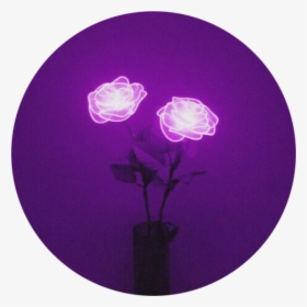 #lights #rose #purple #flower #aesthetic #purpleaesthetic - Purple Aesthetic, HD Png Download, Transparent PNG