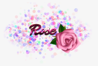 Rose Png - Olive Name, Transparent Png, Transparent PNG