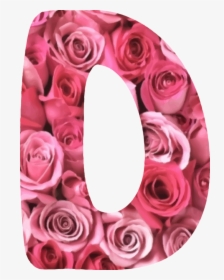 Pink,flower,garden Roses - Floral Alphabet Icons Png, Transparent Png, Transparent PNG