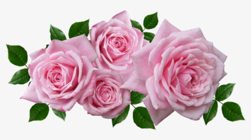 Rosas, Florales, Acuerdo, Romántico, Jardín - Pink Flower Arrangement Png, Transparent Png, Transparent PNG