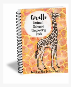 Giraffe Animal Science Discovery Pack - Giraffe, HD Png Download, Transparent PNG