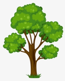 Tree Shrub Cartoon Clip Art - Clipart Of Tree, HD Png Download, Transparent PNG