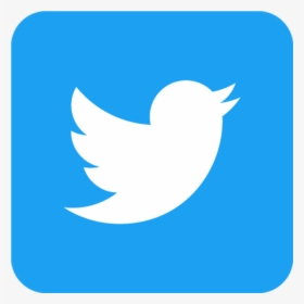 Twitter Square Logo Png, Transparent Png, Transparent PNG