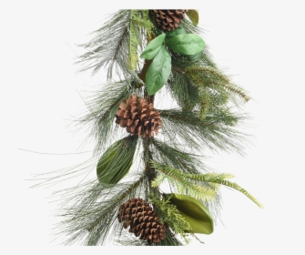 Green Garland With Pinecones - Pond Pine, HD Png Download, Transparent PNG