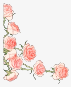 #ftestickers #border #corner #roses #pink - Garden Roses, HD Png Download, Transparent PNG