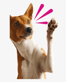 Dog With Arm Up, HD Png Download, Transparent PNG