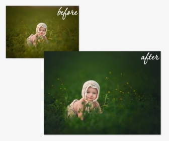 Color Correction Essentials Photoshop Actions - Lisa Holloway Before After, HD Png Download, Transparent PNG