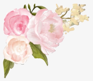 #ftestickers #floral #flowers #edge #corner #roses - Garden Roses, HD Png Download, Transparent PNG