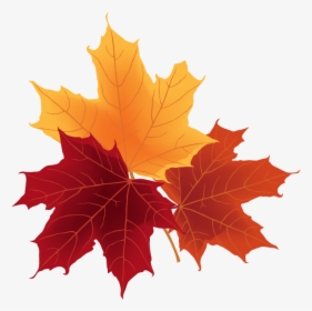 Autumn Leaves And Fruit, HD Png Download, Transparent PNG